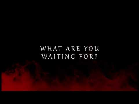 Chase Holfelder   Animal (Lyrics Video)