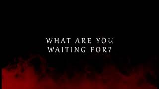 Download lagu Chase Holfelder   Animal (Lyrics Video) mp3