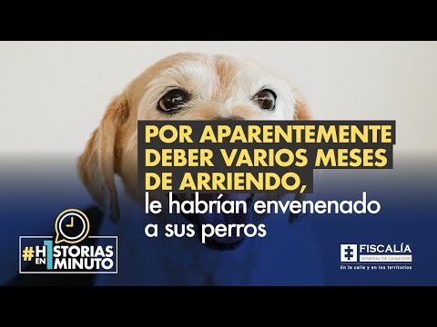 Por aparentemente deber varios meses de arriendo, le habrían envenenado a sus perros