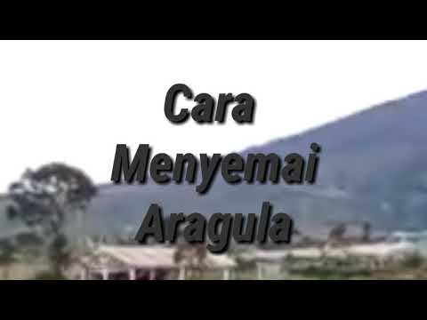 , title : 'Cara menyemai Aragula'