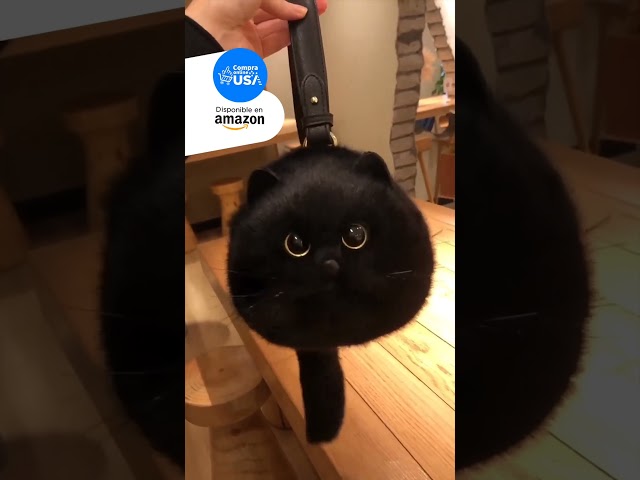 Vídeo relacionado con Bolsa de asas CoolChange con Kiki y Jiji, Bolsa de compras de lona con gatos de anime, 34 x 36 cm, Algodón, Blanco, Blanco