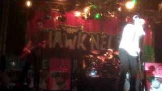 Hawk Nelson - Alive