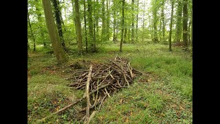 Abenteuer auf dem Burgberg oder geheimnisvolle Orte im schönen Odenwal