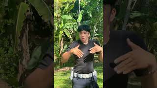 Download lagu dj oh dek tia monica mp3 Download lagu dj oh dek tia monica mp3