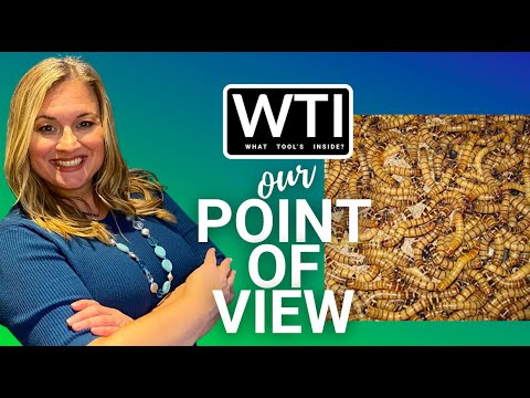 NutriCricket 250 Large Superworms - WTI product video review