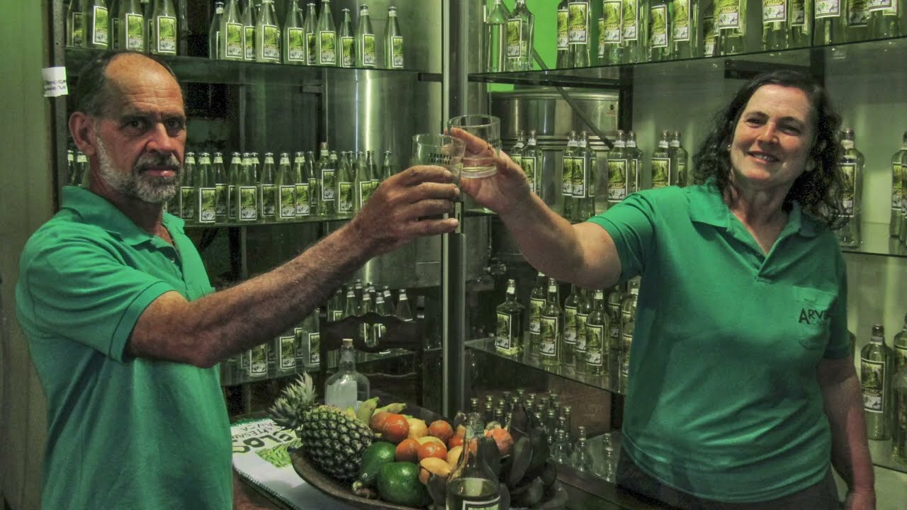 Conheça a Arvelos