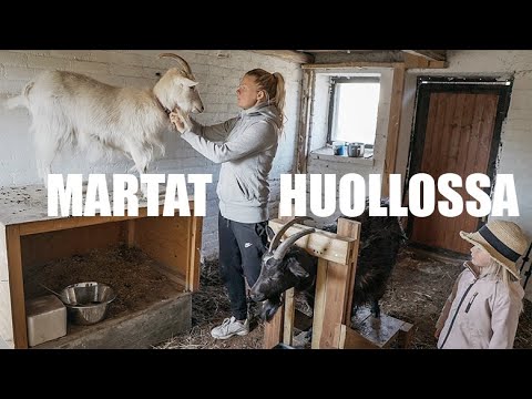 , title : 'LAMPAIDEN JA VUOHIEN HUOLTOPÄIVÄ | MAATILAVLOGI | FINNISH HOMESTEAD'