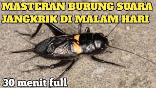 Download lagu 🟢AUDIO JERNIH SUARA JANGKRIK COCOK UNTUK MASTERAN BURUNG GANTANGAN mp3