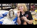 Woman Surviving Only On Cat And Dog Food