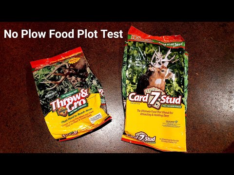 Throw & Gro vs 7 Card Stud / deer food plot test Evolved Harvest products