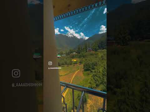 Hashtag Capital Cafe | Pulga #shorts #trending #travel