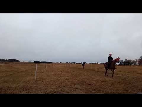 Raid - 12° Gran Clásico Intendencia de Tacuarembó sobre 6 500 m - Caraguatá 27/07/2025