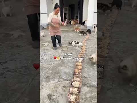 يووو سو كيوت كتير حبييت ❤️❤️حلو كتير ❤️❤️❤️ماشاء الله محلاهن ❤️ #اكسبلور