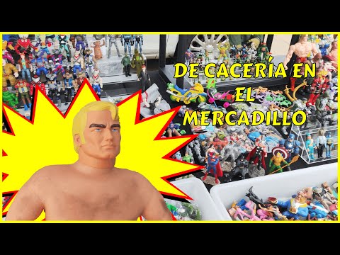 DE CACERÍA EN EL MERCADILLO (Bescanó)