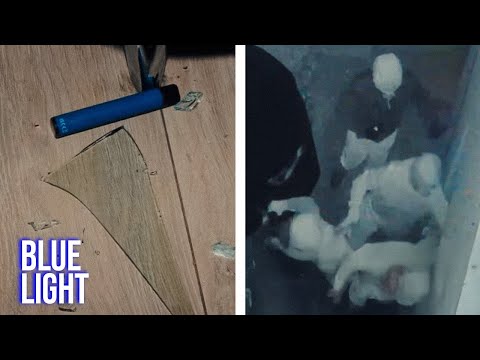 UK Criminal Gang Taken Down Following Violent Home Invasion | FULL EPISODE | Blue Light