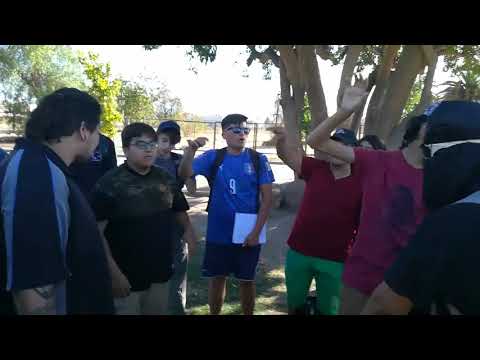 INSANE VS DRACKO VS DYLANTERO | OCTAVOS DE FINAL DE PILETA FREE