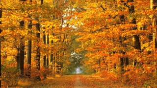 TODO POR NADA  CAMILO SESTO  Disco Algo màs  (1973)