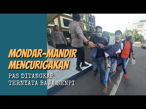 MONDAR-MANDIR MENCURIGAKAN PAS DITANGKAP TERNYATA BAWA SENPI