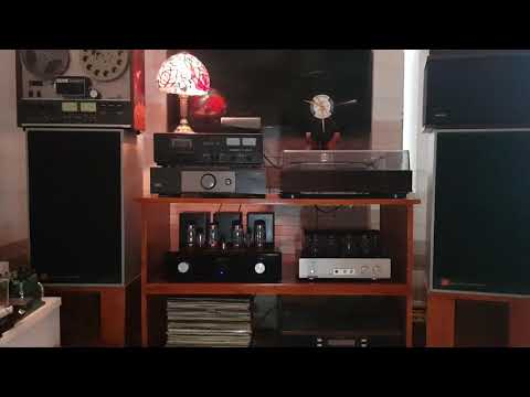 Allan Taylor - We Stood as One . Audiophile Lossless