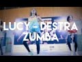 Zumba Mira Sharbakova Lucy Destra FitnessPRO Конвенция 2017