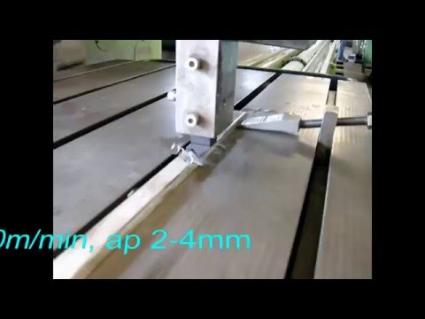 ALESA 50 - Hobeln SCFT12 HSS in 1.4301 (Schiene)