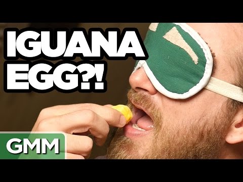 Exotic Egg Taste Test Video