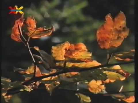 Mittendrin 09 in einer Höhle   Umweltmagazin mit Peter Lustig