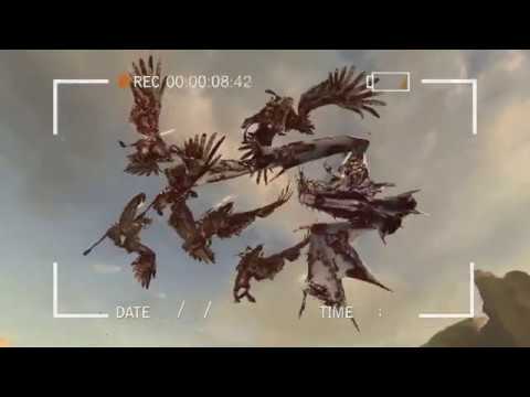 Star Dragon VS Royal Hippogryph Knights | Total War: Warhammer 2