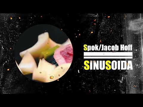 Spok/Jacob Hoff- Sinusoida feat. Panda Pandini (Projekt Represja)