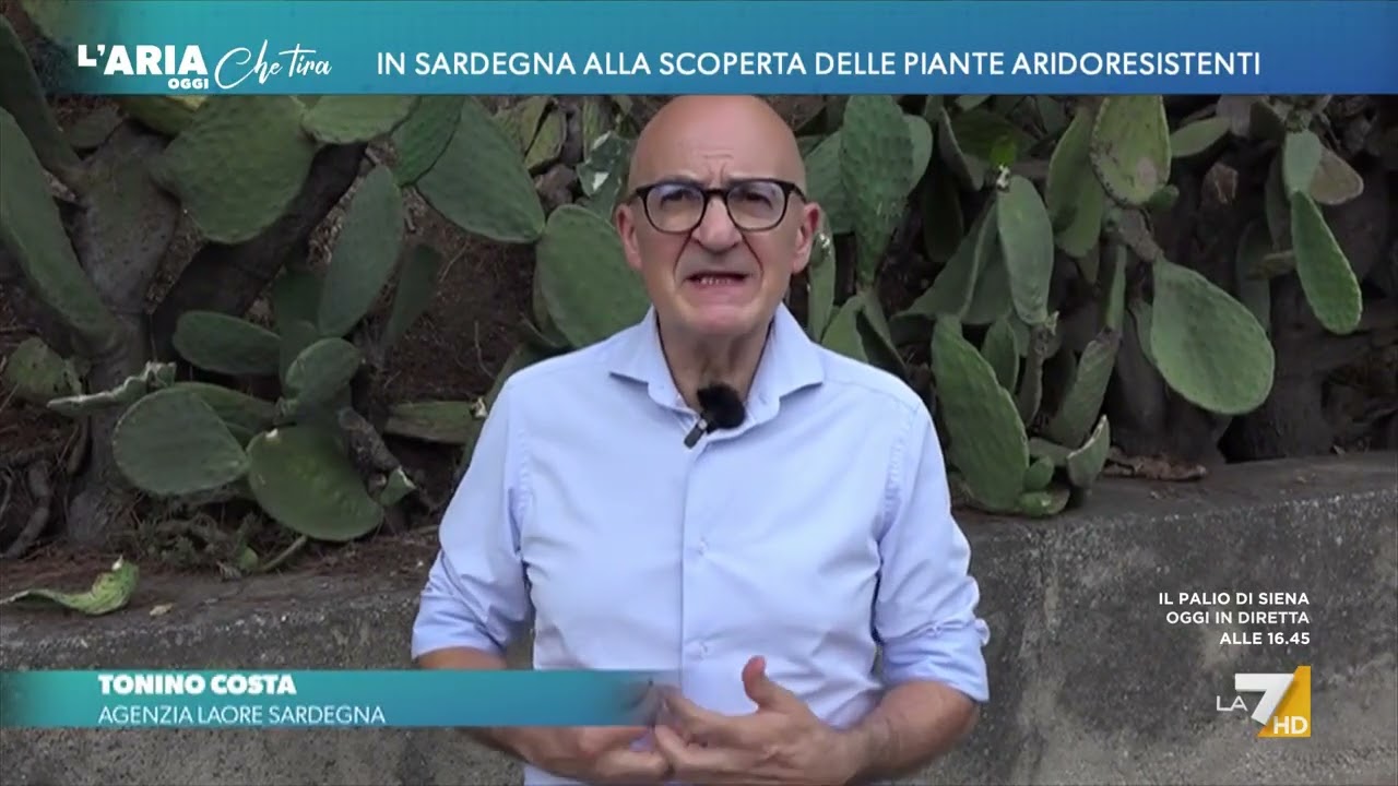 In Sardegna alla scoperta delle piante aridoresistenti