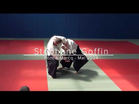 Stéphane Goffin - Mai 2024 - Aïkido - Pont-à-Marcq