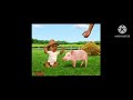Disney Junior Commercial Break Thursday January 10th 2013