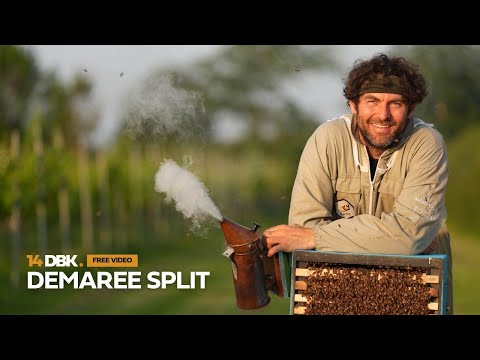 🔱 Free 14-Day Beekeeper Taster: Master the Demaree Split Method 🐝