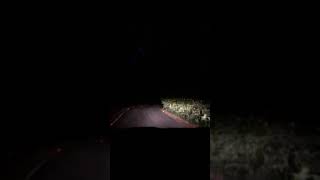 Honda WRV night drive whatsapp status in forest