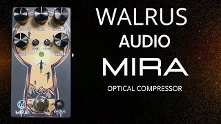 Video thumbnail for Walrus Audio Mira Optical Compressor  /  Is Optical Compression The Best? by Shawn Tubbs