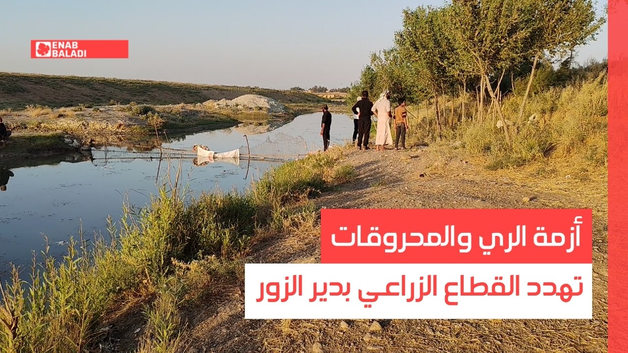 أزمة الري والمحروقات تهدد القطاع الزراعي بدير الزور