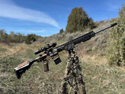 Testing the Saturn Match Barrel/WMD Guns Combo for Mid Range Precision