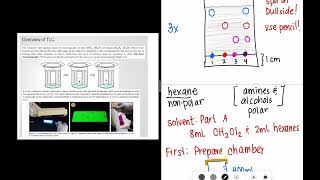 TLC Chromatography Experiment