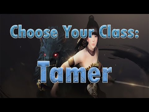 Bdo Tamer