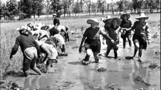 Mauro Palmas - Elena Ledda - Saluteremo il signor padrone.wmv