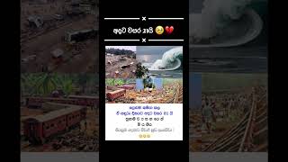 Download lagu සුනාමිය 🥹 #shorts #viral #trending #ytshorts #viralvideo mp3