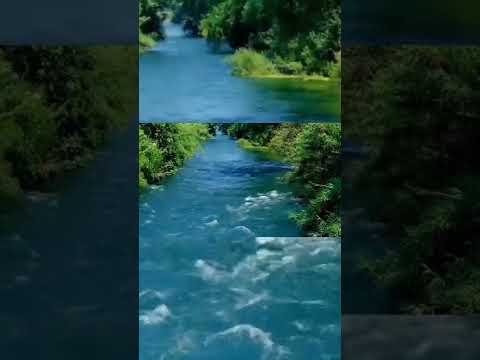 River's water flow | Gentle stream sounds | Relaxing stream sounds used for Sleep, insomnia 🌊💧