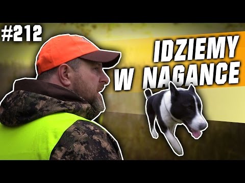 Darz Bór odc 212 - Idziemy w nagance