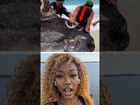 What Kind of Monster Could Take a Bite This Big!? 😳 #fishing