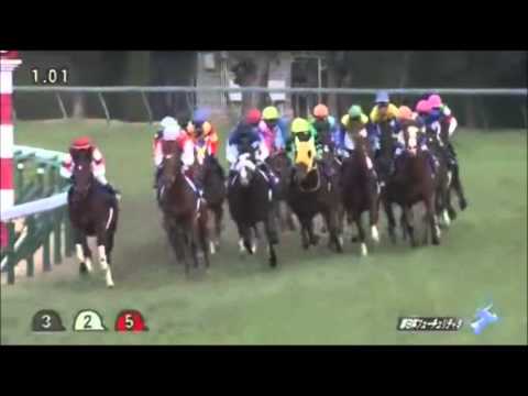 朝日杯フューチュリティステークス2015