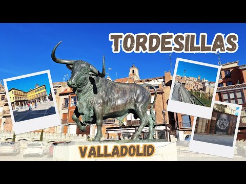 TORDESILLAS - (Valladolid) - Spain