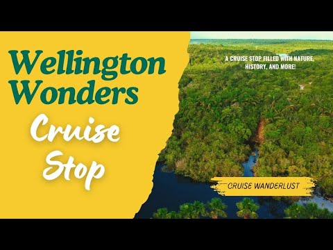 Thumbnail for Why You MUST Visit WELLINGTON: Exploring Our Port of Call on the Cruise#cruiseexperiences