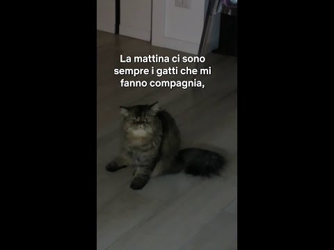 UNA GIORNATA INSIEME A FLAVIA ❤️ C4RI DI4RI 🎒 Netflix DOPOSCUOLA