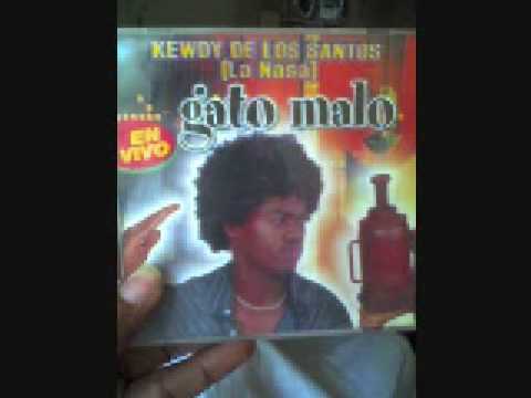 Kewdy  de los Santos_ el gato malo 2004