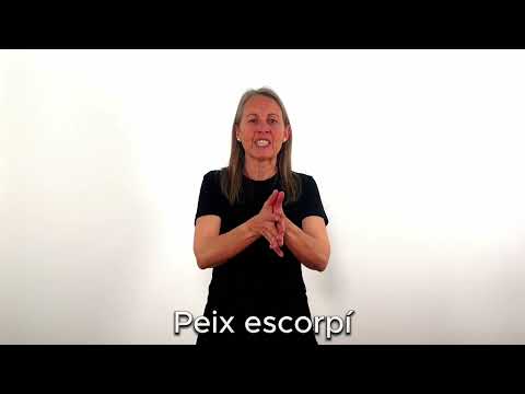Peix escorpí - LSC